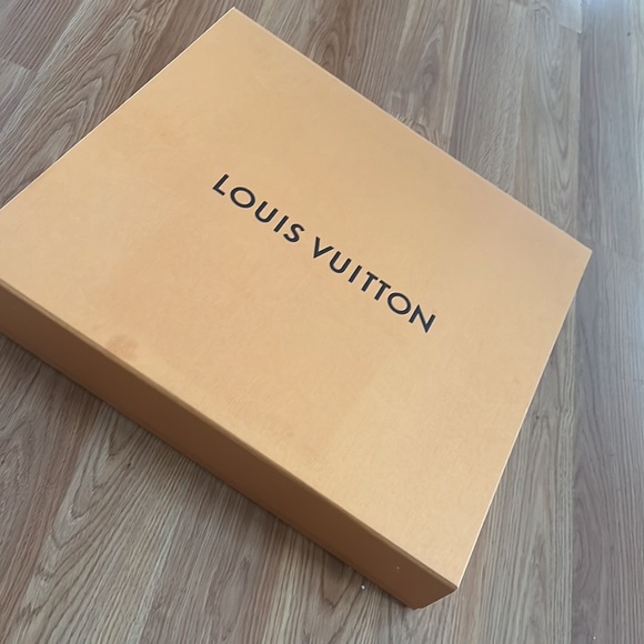 Authentic Louis Vuitton bag Case - Picture 2 of 2